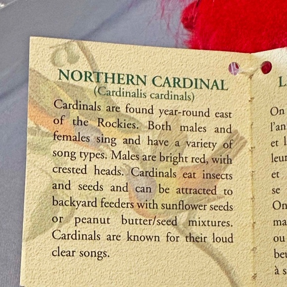 SINGING BIRD, PLAYS REAL BIRD CALLS, RED CARDINAL, 6 L x 4 ½ W x 4 ¾ H INCH PLUS - Picture 9 of 16